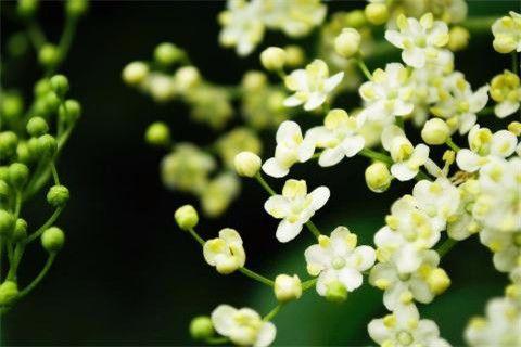 也许你体会不到这十句话的魅力