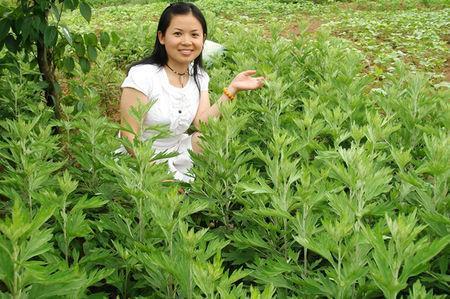 女孩坚持用艾草泡脚, 15天后身体发生神奇的改变