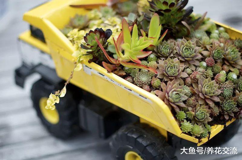 7个有趣的花卉创意, 用废弃的材料种出好看的组合盆栽