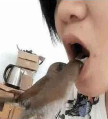 女子外出旅游, 回来后五年从不刷牙, 知道真相让人哭笑不得!