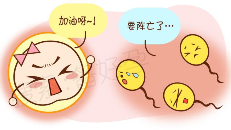 这些时间, 不适宜受孕吆