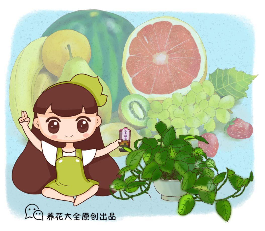秋天一来, 吃这6种水果, 气色好到能发光