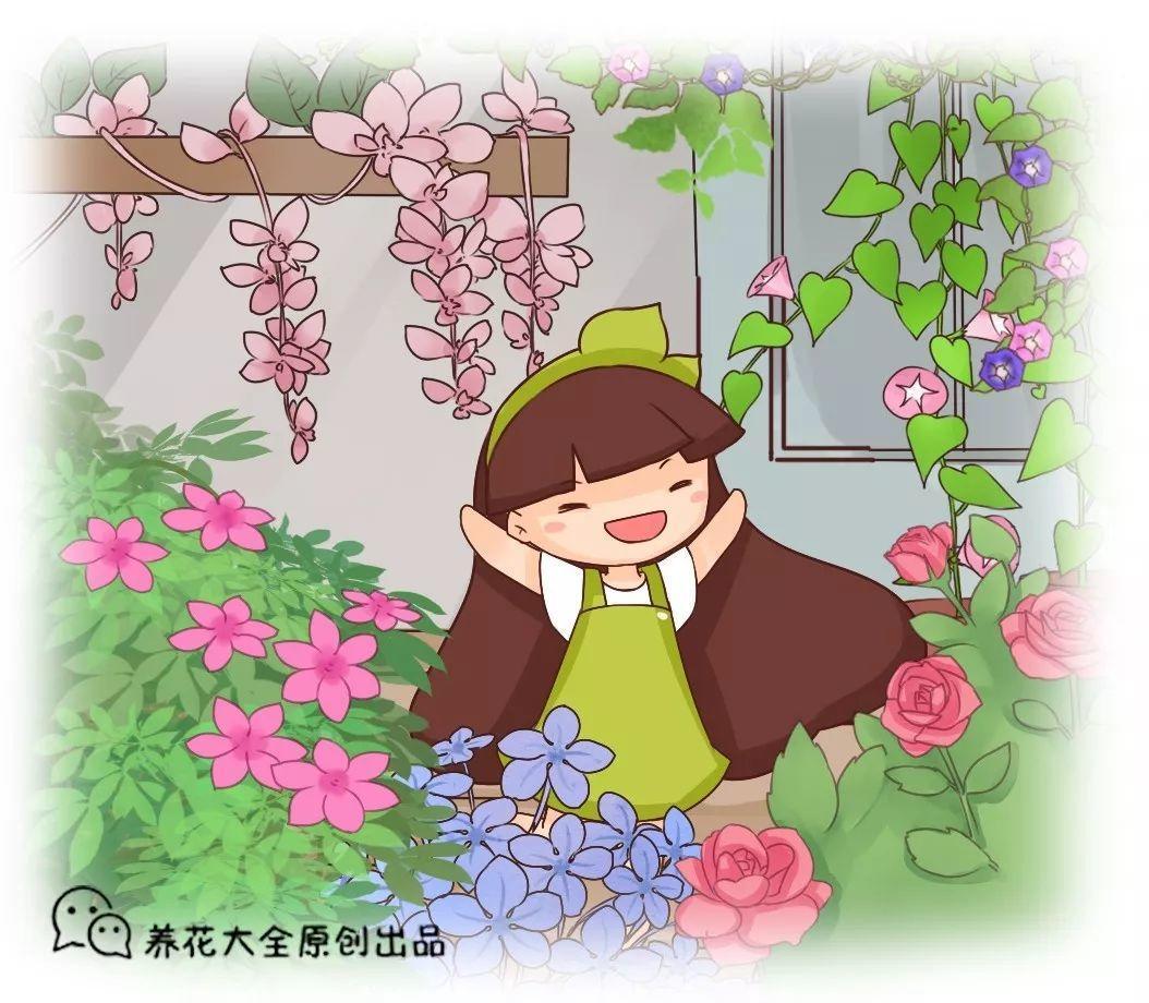 这花带有蒜香味, 爬的满墙都是, 1株开花近千朵!
