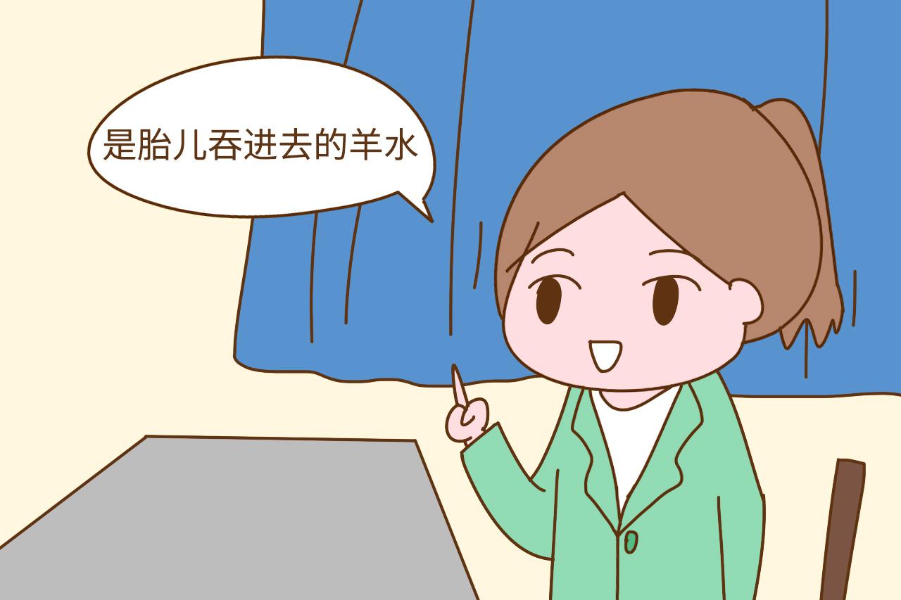 孕期胎儿有排泄物吗? 如果有的话, 这些排泄物都去哪里了呢?