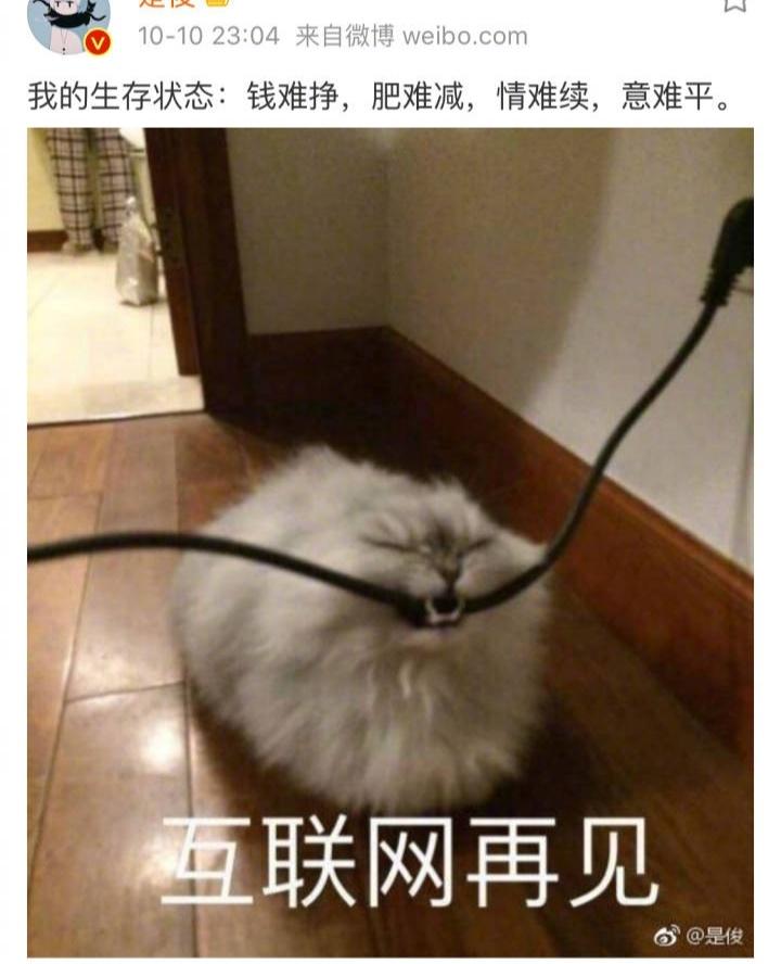 你们为什么要监视我的生存状态?