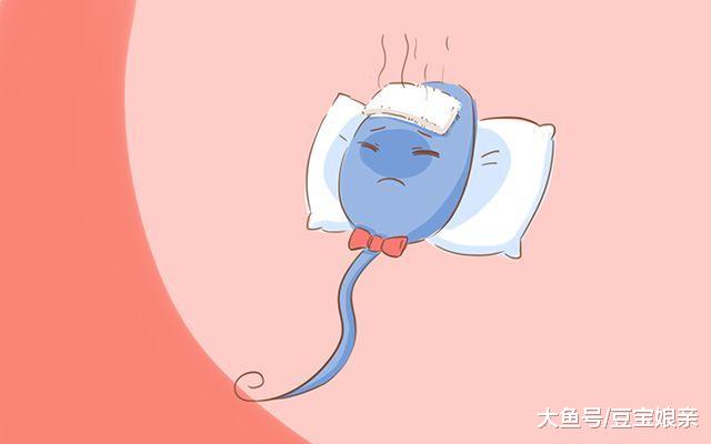 那些没有和卵子“偶遇”的精子去了哪里? 涨知识的时候到了