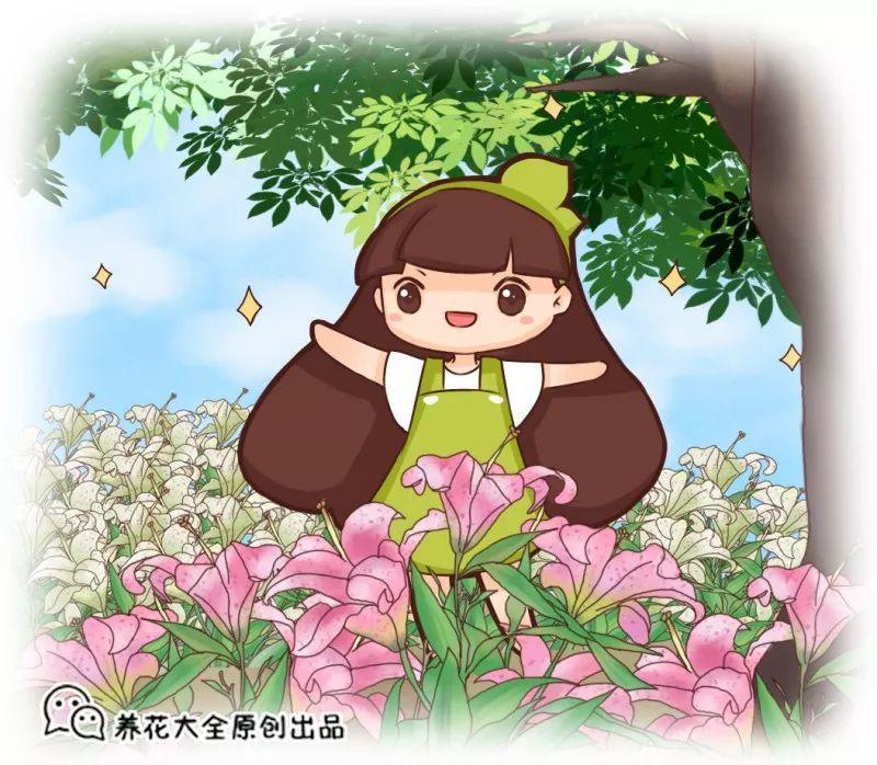 木槿花开了, 还有一股鸡肉味儿, 不这样吃可惜了!
