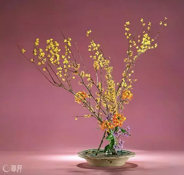 日本顶级花道 3分钟轻松学到手 生活资讯 八戒游戏