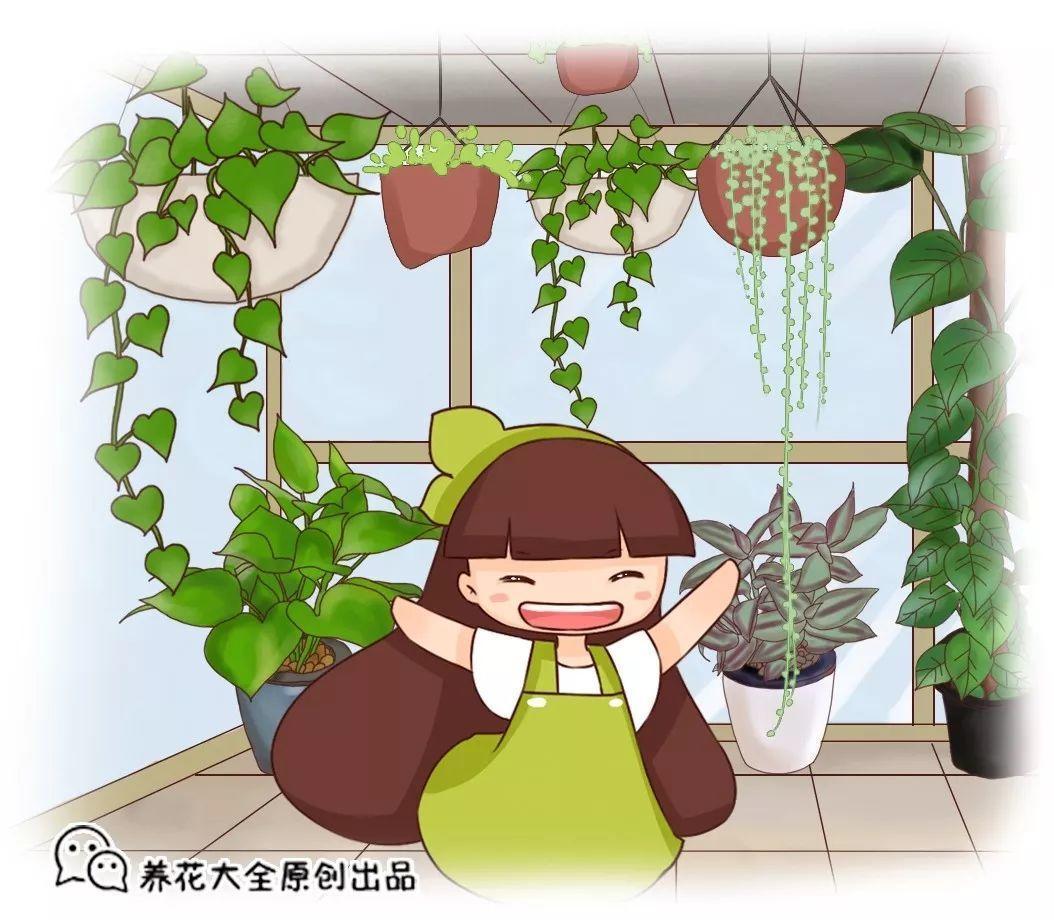 这花长了5米长, 被他一夜剃光头, 半年又长两层楼!