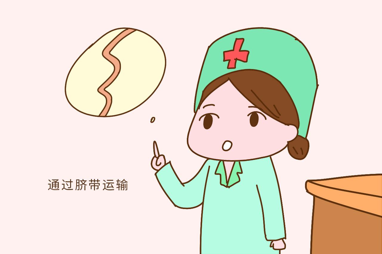 四维做到一半, 医生说小家伙在干“坏事”, 在场的人都乐了