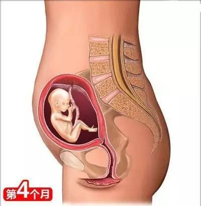 小两口从怀孕到生娃, 你一定要懂的26个母婴常识!