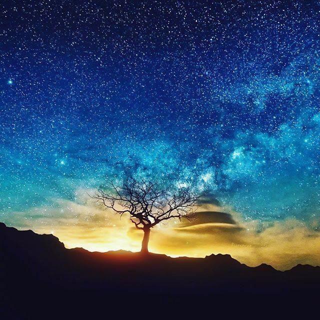 大多数时候, 你需要这正能量的十句话!