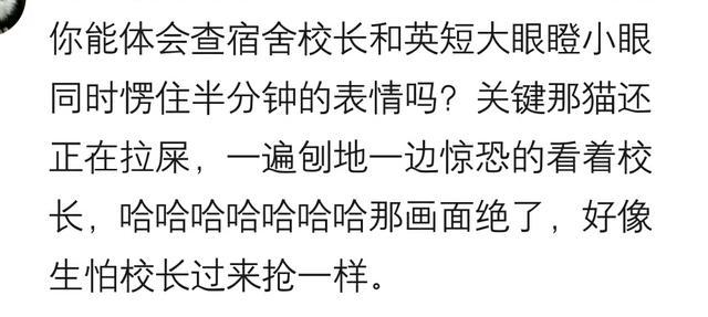 上学时, 学校突击检查宿舍, 你们被查出了什么? 网友: 60个望远镜