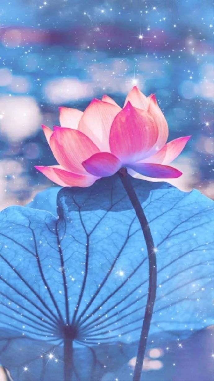 关于人生的经典语录, 感悟颇深, 适合睡前思考!