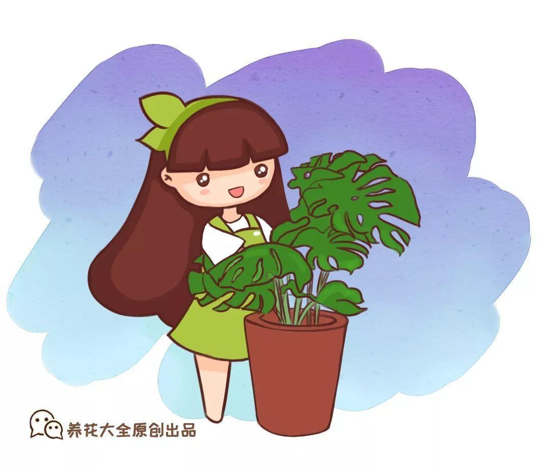 垃圾桶里捡了半截桩, 回家扔盆里就冒芽, 1个月蹿成摇钱树!