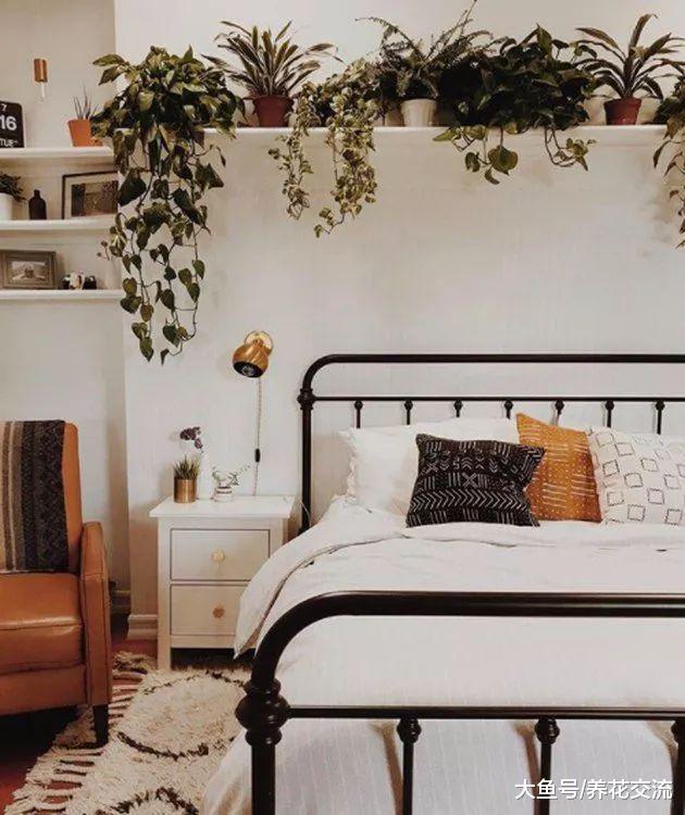 让室内植物融入到家居生活中的12个创意, 你更喜欢哪种?