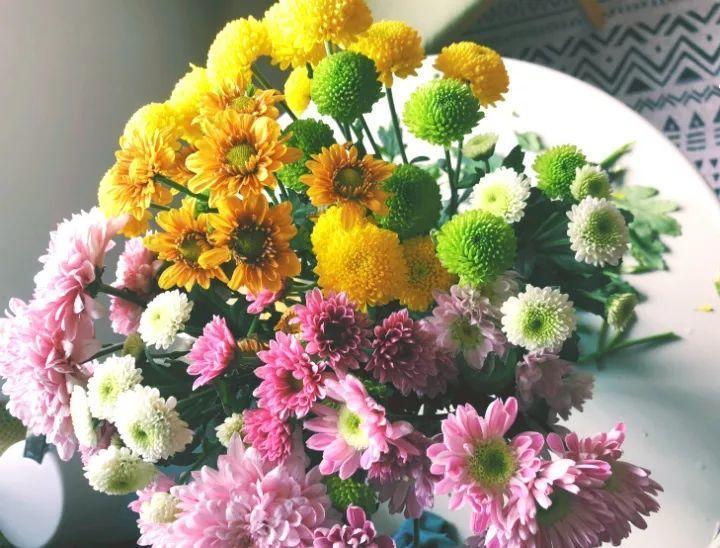 冬天逛花市, 9块9买一盆, 回家能开半年!