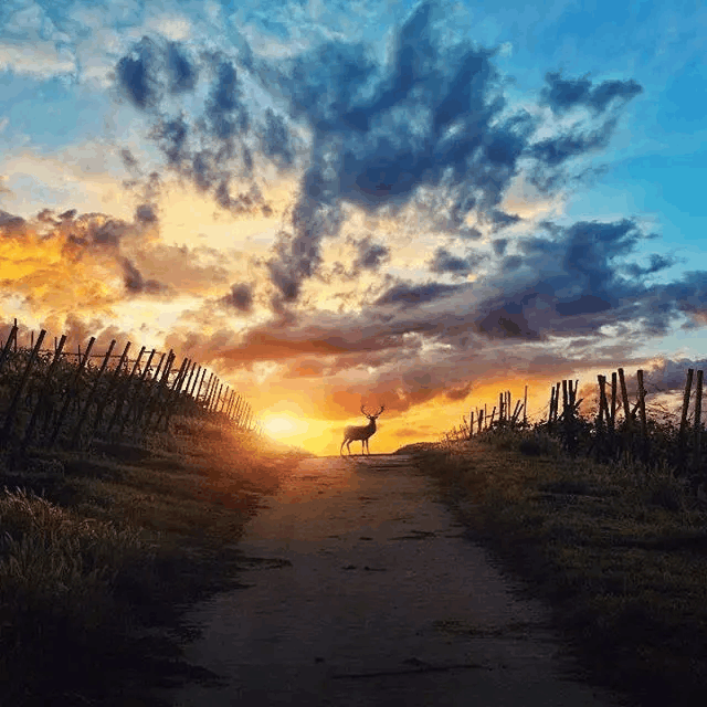 霸气有点拽的伤感短句, 最新个性签名