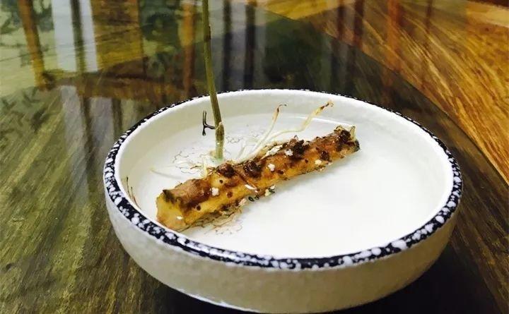 一节山药插水里, 疯狂长藤“冒金豆”, 赚大了!