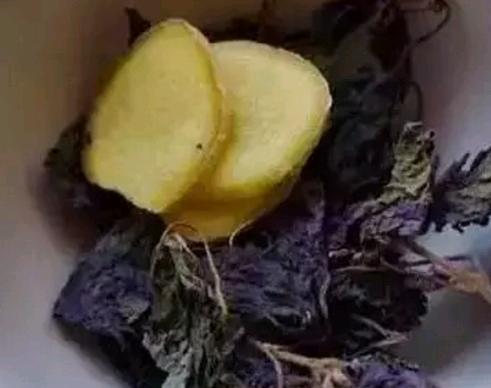 女孩坚持用紫苏泡水喝, 15天后身体发生惊喜的改变
