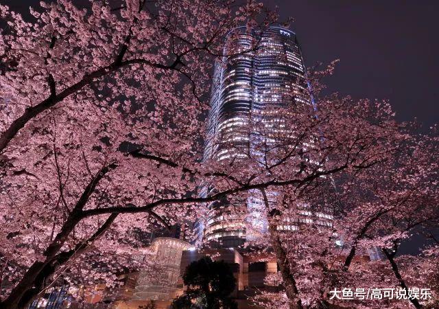 日本东京十巨细寡赏樱胜天:避开人潮拥挤的恐惧,感触感染醒好春意!