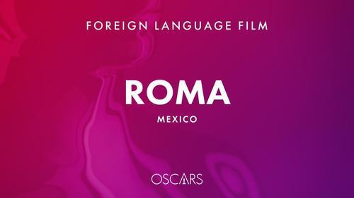 第91届奥斯卡已揭晓名单：
最