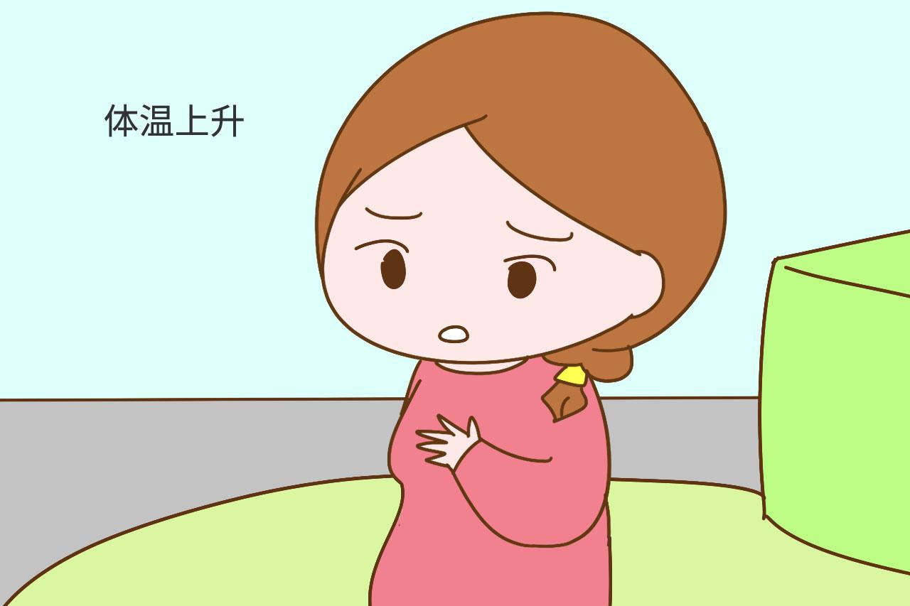 早孕和月经前兆还在傻傻分不清? 备孕女性别纠结, 这些区别很明显