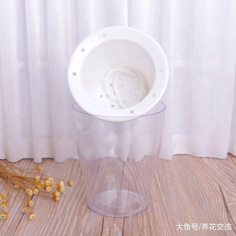 虎皮兰为啥不适合用自动吸水的花盆养?