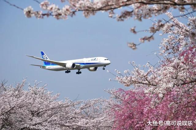 日本东京十巨细寡赏樱胜天:避开人潮拥挤的恐惧,感触感染醒好春意!