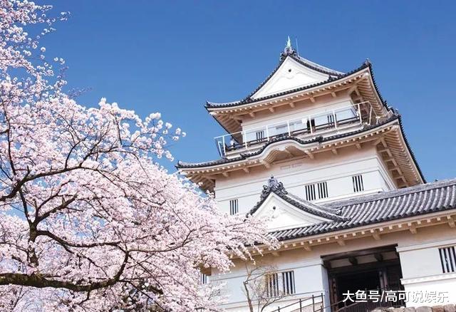 日本东京十巨细寡赏樱胜天:避开人潮拥挤的恐惧,感触感染醒好春意!
