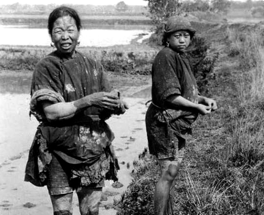 【血沃中华】淞沪会战中，日军从