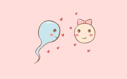 怀孕后, 胎儿的各个发育阶段都是怎样的呢? 看完你就明白了