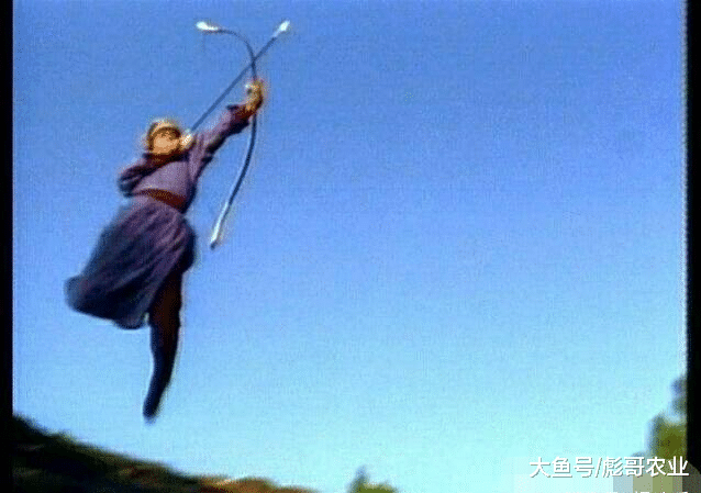 五个版本的郭靖"弯弓射雕",张智霖姿势最帅,黄日华却不是最好