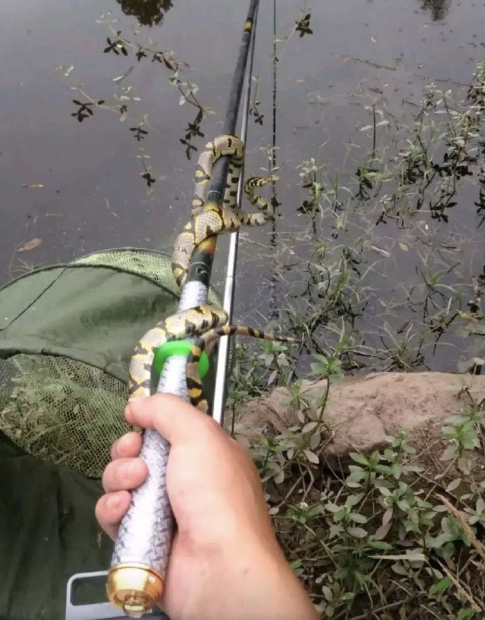 我现在应该怎么办？在线等，挺急