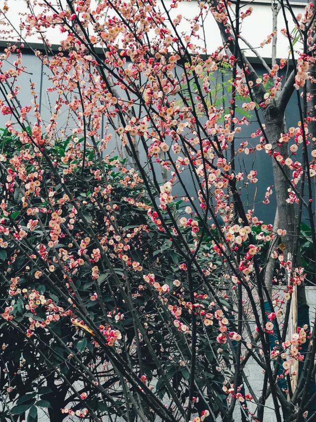 重庆平易近宿 | 相逢朝天门江景影院房