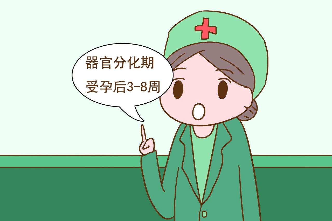 怀胎十月，这4个时期是关键，孕妈把握好对胎儿发育很有利