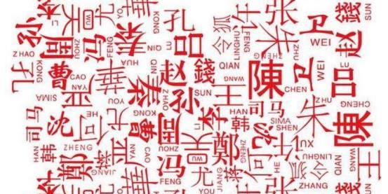 段姓的人口_段姓图腾(2)