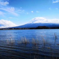 木棉树下的春天