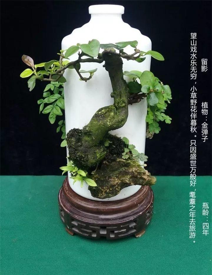1毛钱的废酒瓶, 大爷钻孔种上花, 身价翻了几十倍!