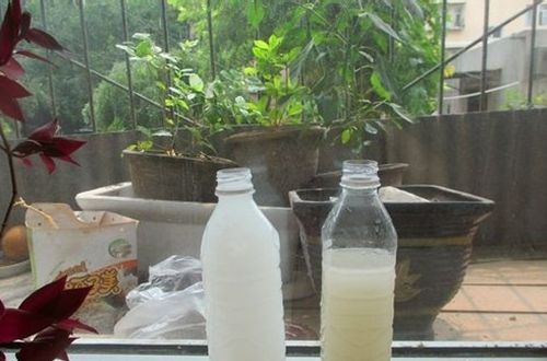 傻乎乎的把这“3种”废水都倒了, 拿来浇花, 不花钱养旺盛!