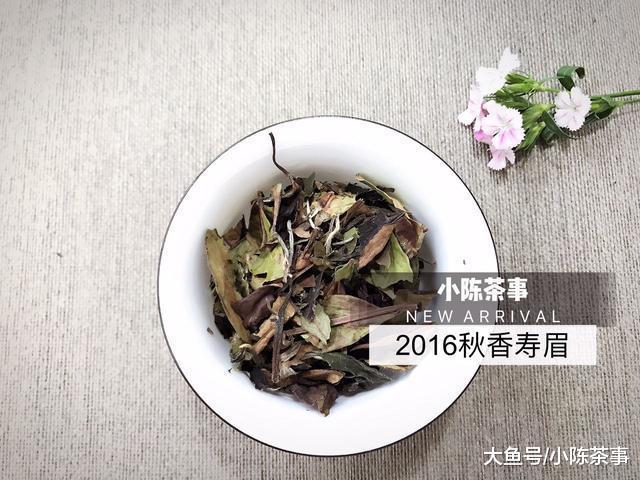 老白茶的叶片为什么那么轻易碎, 三分钟, 三个角度为您详细解读!