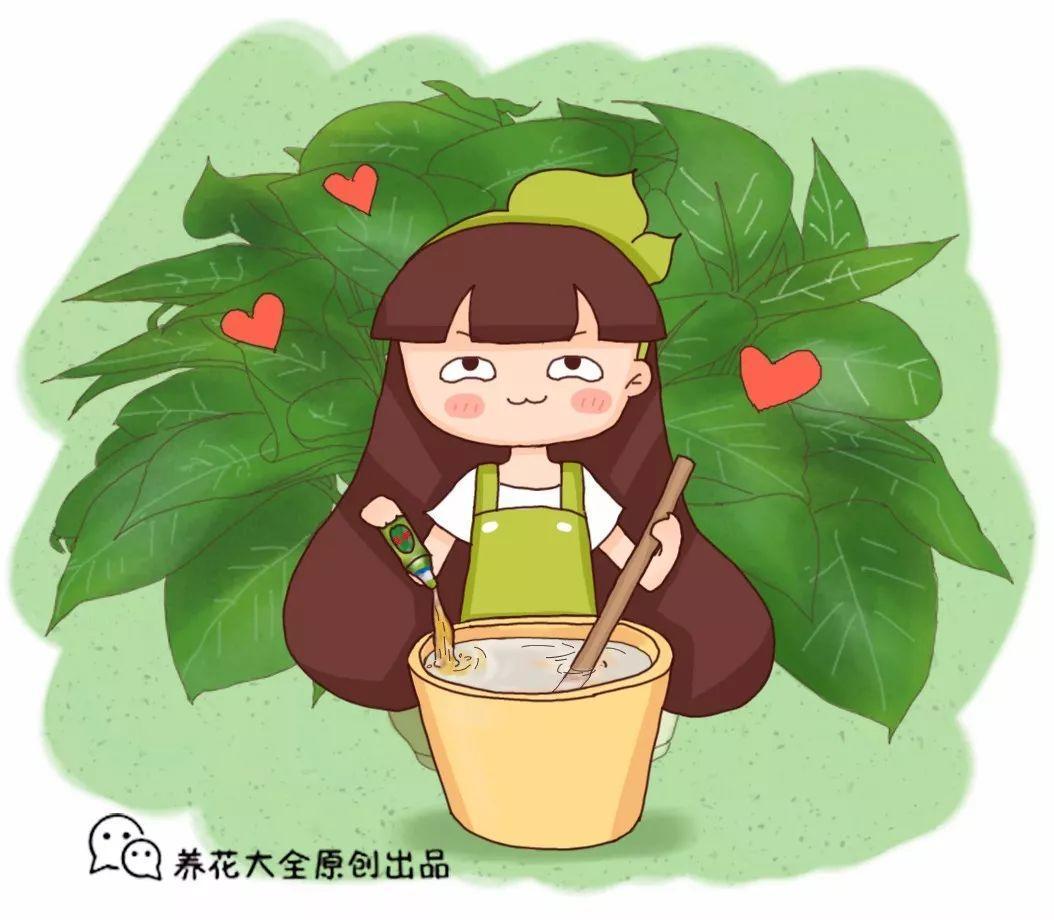 淘米水加点它, 肥效增10倍, 虫子异味都没有!