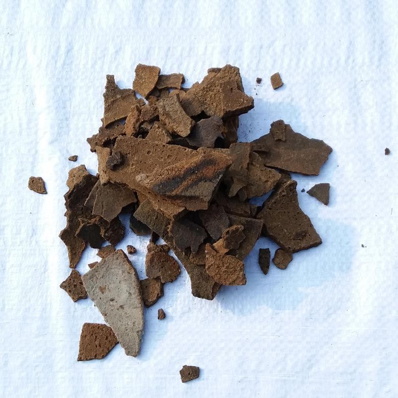 这种“圆饼子”别扔, 花盆土壤放一块, 比什么肥料都管用!