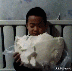 搞笑gif: 姑娘,同是二哈为何你家的这么优秀