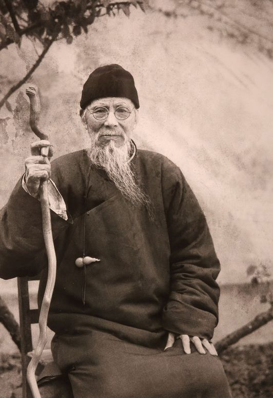 汉印临摹的第195方：行禆将军