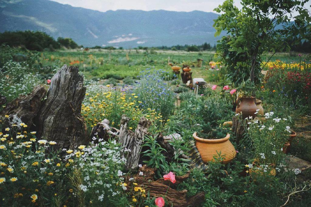 我想有个小院, 满院花香, 过宁静的生活!