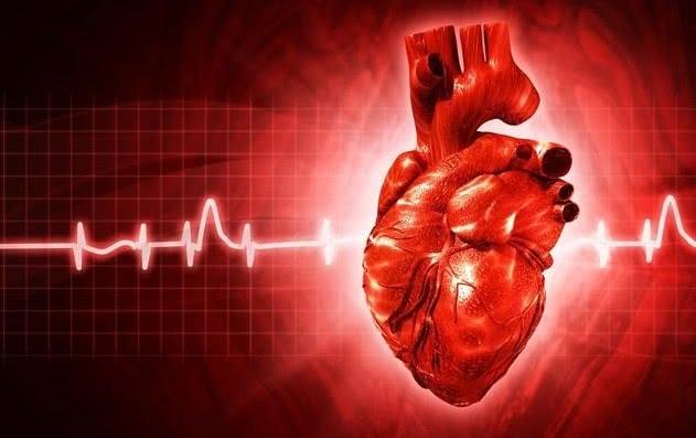 血管干净人长寿, 想要血管“软、通、净”, 谨记以下四点