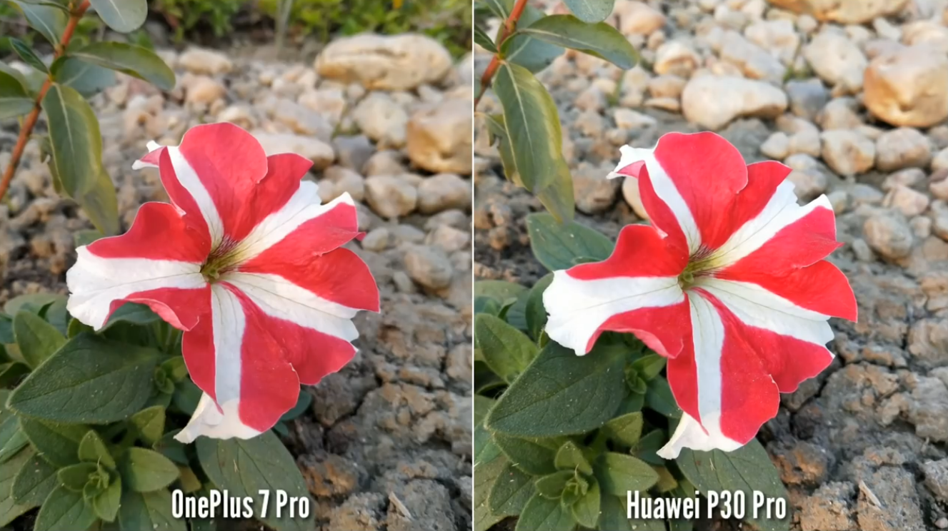 华为P30 Pro相机对比一加