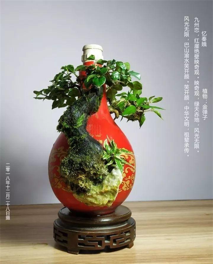 1毛钱的废酒瓶, 大爷钻孔种上花, 身价翻了几十倍!