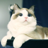 小勋勋热点趣闻视频